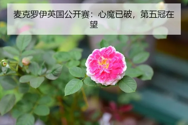麦克罗伊英国公开赛：心魔已破，第五冠在望
