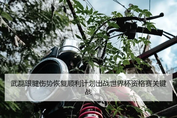 武磊跟腱伤势恢复顺利计划出战世界杯资格赛关键战